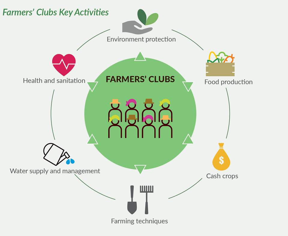 Farmers' Clubs Key Activities