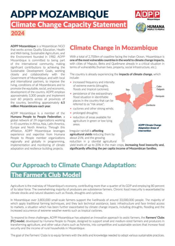 Capacity Statement Mozambique